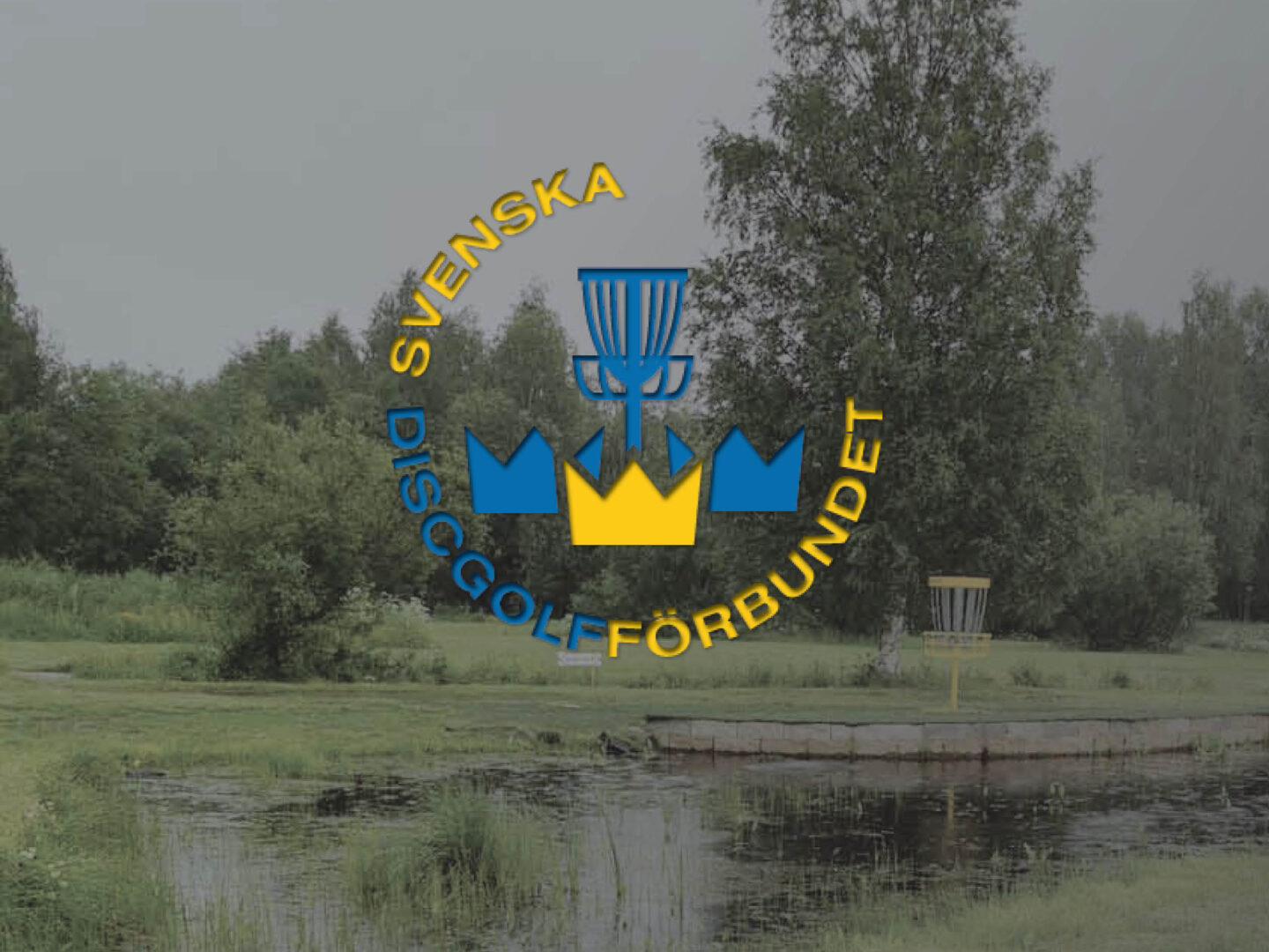 Svenska mästerskapen i Discgolf i Skellefteå. SM Discgolfterminalen 2022